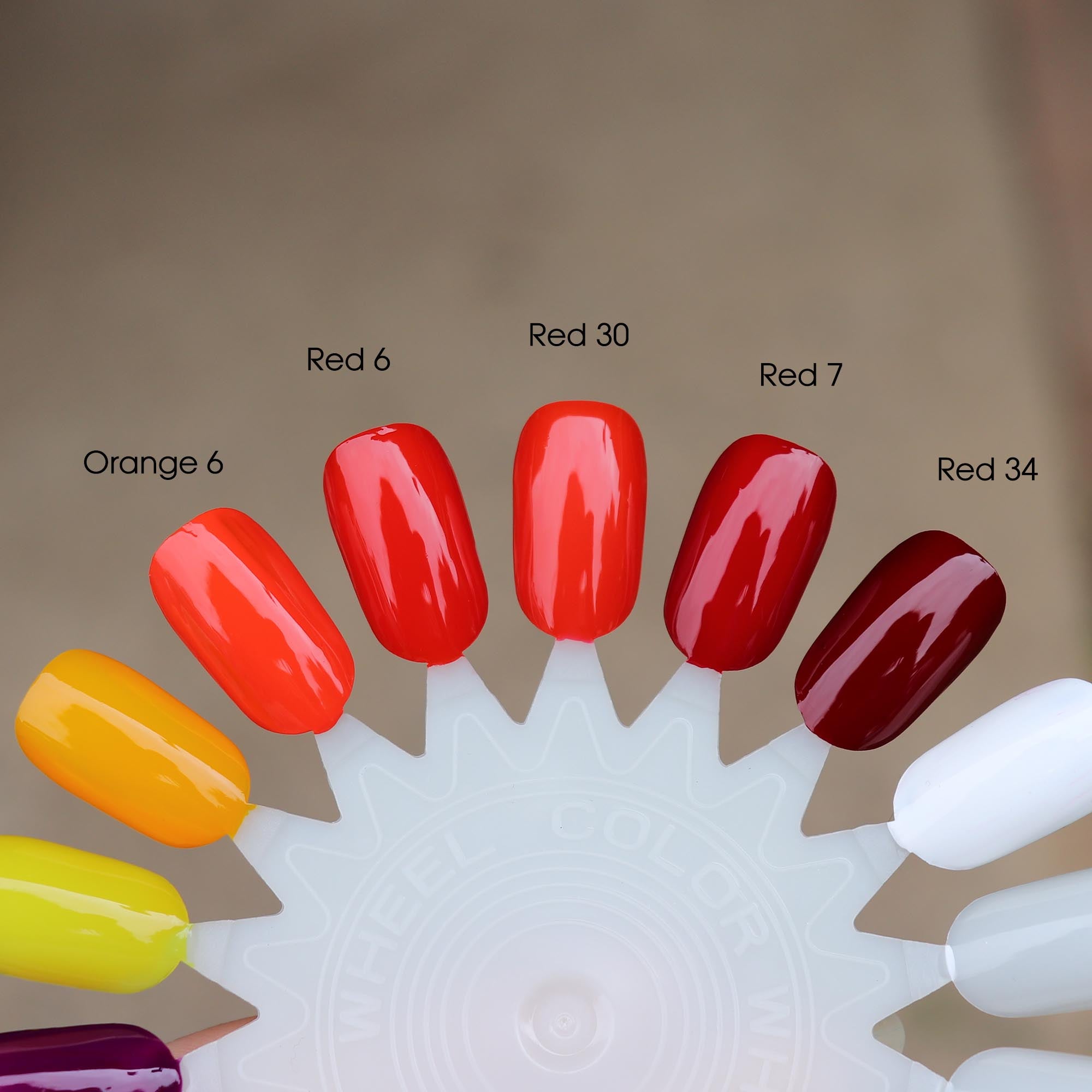 Liquid Pigment Tints